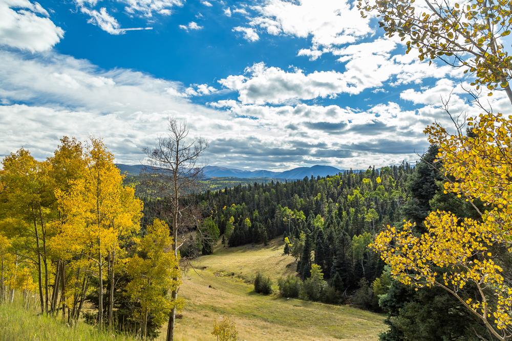 New Mexico’s Enchanted Circle foliage