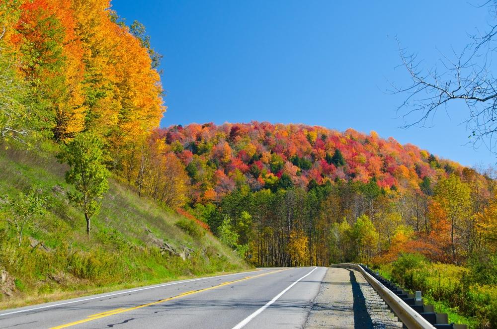 Pennsylvania Route 6 foliage