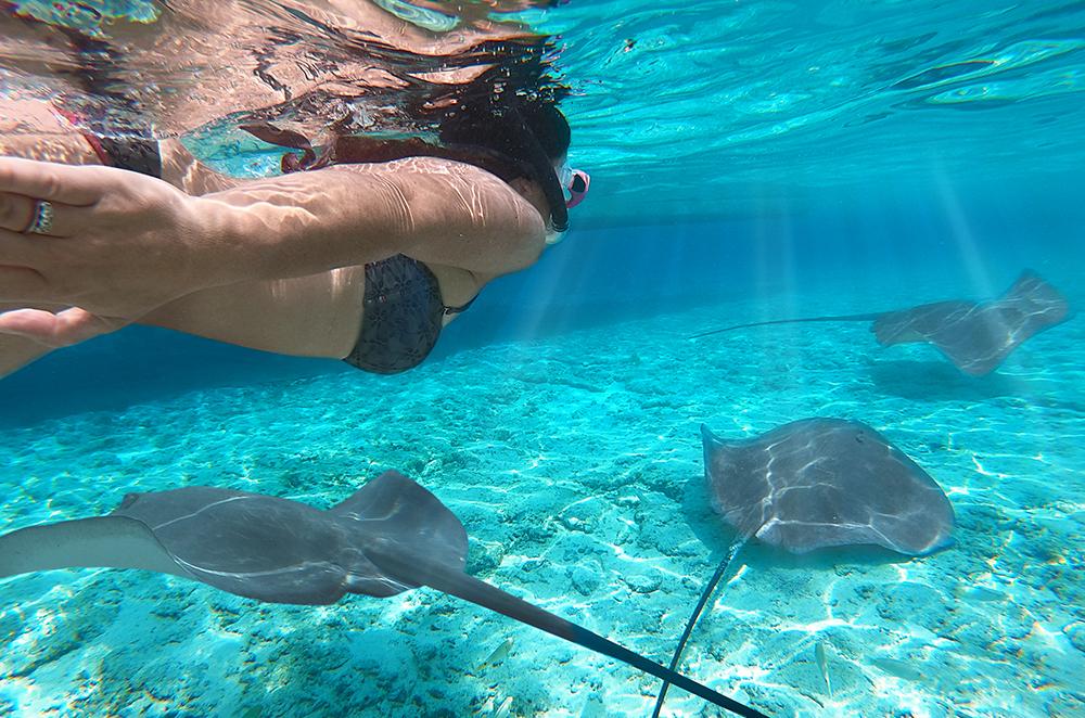 snorkeling